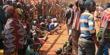 Tanzanie–Burundi : le spectre des retours forcés ravive la crise oubliée des réfugiés burundais