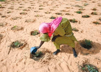 Sahel 2026 : Le dessalement solaire, nouvelle frontière de la résilience hydrique