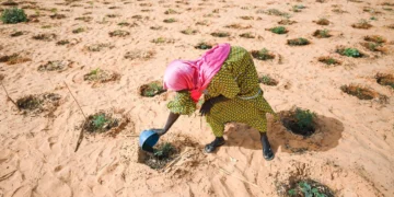 Sahel 2026 : Le dessalement solaire, nouvelle frontière de la résilience hydrique