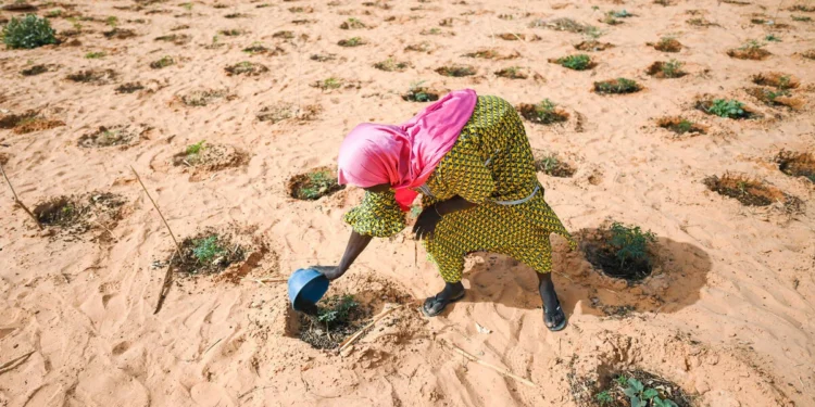Sahel 2026 : Le dessalement solaire, nouvelle frontière de la résilience hydrique