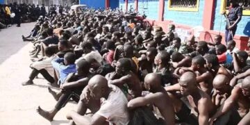 kinshasa sous tension : entre le fer de l’opération “ndobo” et l’ombre des enlèvements