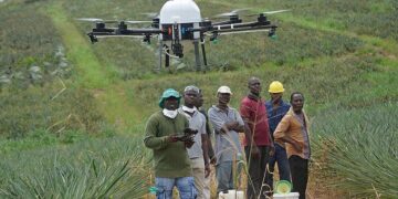 AgriTech : la Côte d’Ivoire mise sur des hubs technologiques pour autonomiser les agricultrices