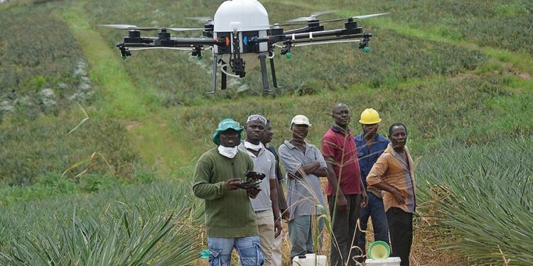 AgriTech : la Côte d’Ivoire mise sur des hubs technologiques pour autonomiser les agricultrices