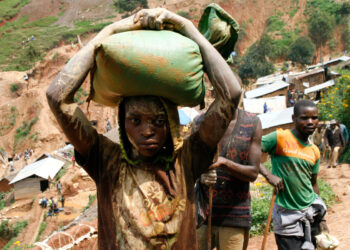 Mines de Sang en RDC : Le sous-sol de l’Ituri, coffre-fort d’une guerre sans fin
