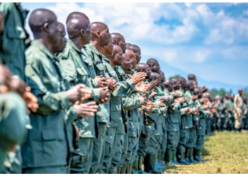 Est de la RDC : l’annonce de libération de soldats FARDC par l’AFC/M23 relance le débat sur les prisonniers de guerre