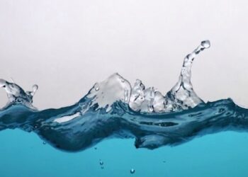 L’Or Bleu en Afrique : De l’urgence sociale à l’impératif de sécurité nationale