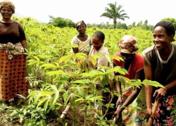 L’Assemblée nationale adopte la loi sur la souveraineté alimentaire : un tournant historique pour l’agriculture congolaise