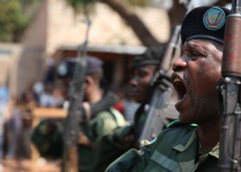 Vidéo virale de torture à Ngaliema : quand les militaires congolais se filment eux-mêmes en train de violer les droits humains