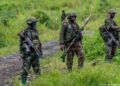 RDC – Sud-Kivu : combats entre les FARDC et le M23 et inondations meurtrières à Kalehe