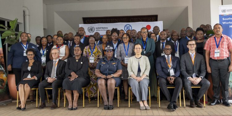 Afrique australe : offensive régionale contre les crimes miniers