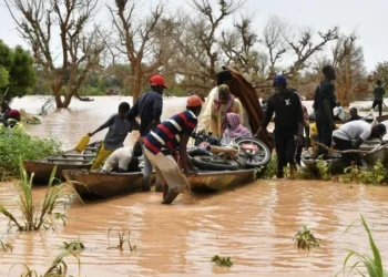 Angola : inondations meurtrières à Luanda et Benguela, des dizaines de victimes et des milliers de sinistrés
