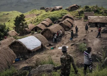 Ituri : la société civile tire la sonnette d’alarme face à une insécurité qui s’étend