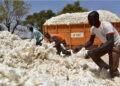 Matières premières : l’Afrique face au défi de la transformation locale