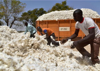 Matières premières : l’Afrique face au défi de la transformation locale