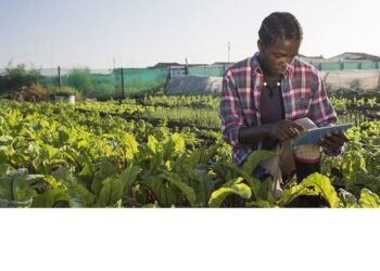 Financer l’agriculture africaine : l’urgence d’un sursaut face à la faim