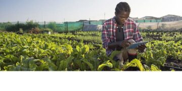 Financer l’agriculture africaine : l’urgence d’un sursaut face à la faim