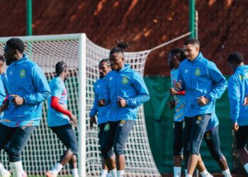 Ebola oblige : les Léopards délocalisent leur préparation en Belgique avant le Mondial