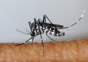 Côte d’Ivoire : réduction de 90 % de la mortalité palustre en trois ans, un modèle de santé publique africain