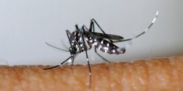Côte d’Ivoire : réduction de 90 % de la mortalité palustre en trois ans, un modèle de santé publique africain
