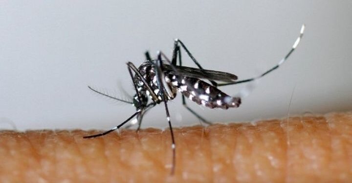Côte d’Ivoire : réduction de 90 % de la mortalité palustre en trois ans, un modèle de santé publique africain