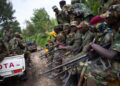 Est de la RDC : violences persistantes et tensions sécuritaires malgré les opérations militaires