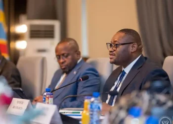 Le GAFI et la RDC : le gouvernement évalue son plan d’action pour quitter la liste grise
