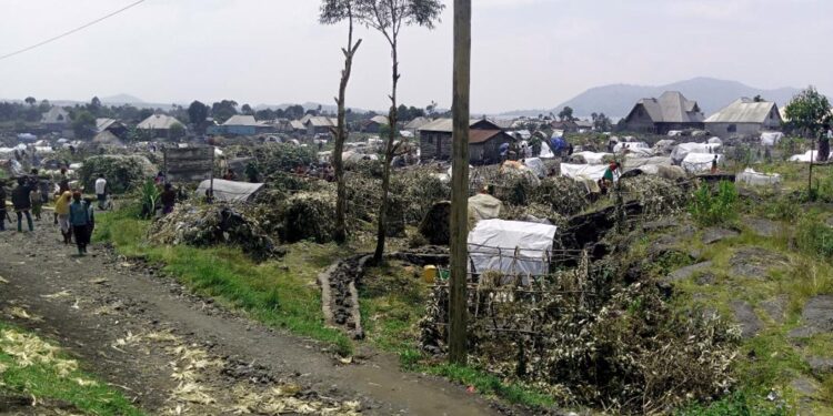 Masisi retrouve un calme fragile après les affrontements M23-Wazalendo à Bibwe