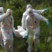 Ebola en RDC : « La maladie progresse plus vite que la riposte », alerte MSF