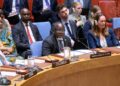 ONU : le Conseil de sécurité renforce les sanctions contre les responsables de groupes armés opérant en RDC