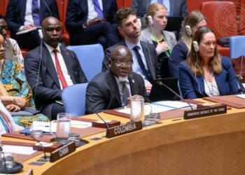 ONU : le Conseil de sécurité renforce les sanctions contre les responsables de groupes armés opérant en RDC