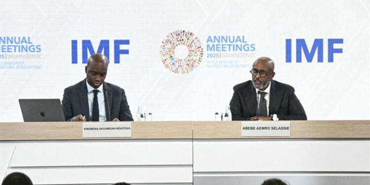 Afrique : le FMI salue la résilience des économies face aux chocs énergétiques, mais alerte sur les risques à venir
