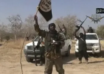 Afrique : la violence islamiste dépasse encore les 20 000 victimes
