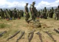 RDC : le processus de paix avance sur les FDLR, Kinshasa réclame le retrait des forces rwandaises