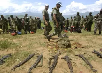 RDC : le processus de paix avance sur les FDLR, Kinshasa réclame le retrait des forces rwandaises