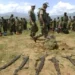 RDC : le processus de paix avance sur les FDLR, Kinshasa réclame le retrait des forces rwandaises