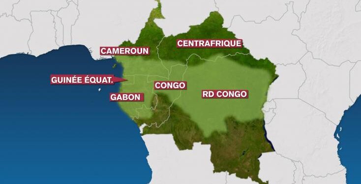 RDC : la déforestation du bassin du Congo atteint des niveaux proches de ceux de l’Amazonie