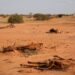 Corne de l’Afrique : des crises nationales aux défis régionaux