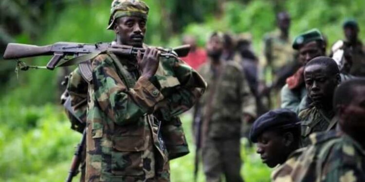 Lubero : accalmie précaire à Vyanze après quatre jours de combats entre l’AFC/M23 et les Wazalendo