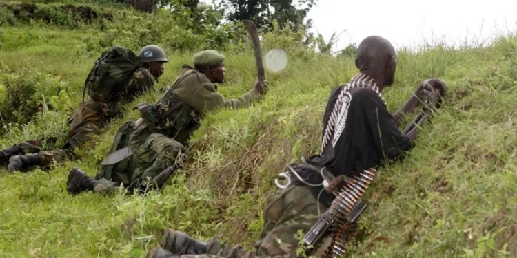 Sud-Kivu : les Wazalendo reprennent deux positions à Fizi, plus de 60 combattants du M23 se rendent